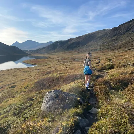 Modern Mountain Escape *