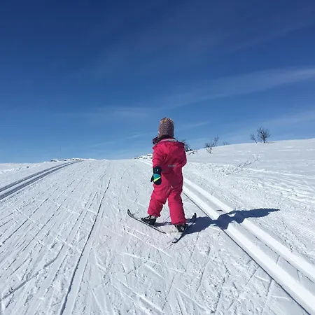 Modern Mountain Escape Beitostolen