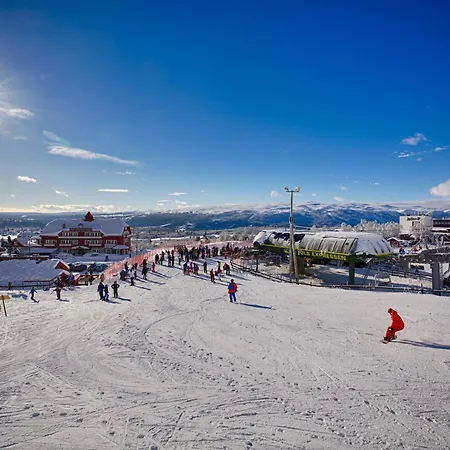 Modern Mountain Escape *