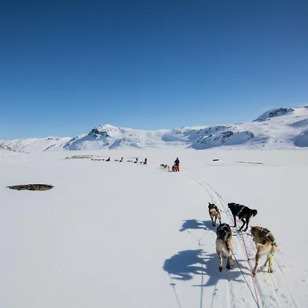 Modern Mountain Escape Beitostolen